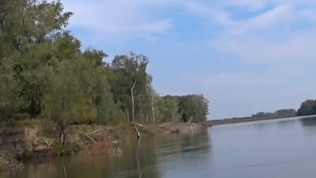 ПОКЛЁВКА ЗА ПОКЛЁВКОЙ! ТУТ ВСЕ ТРОФЕЙ