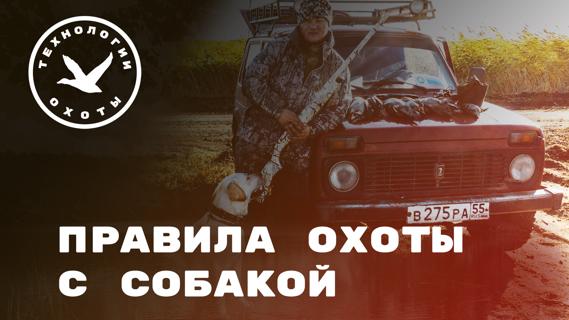 Правила охоты с собаками смотреть онлайн