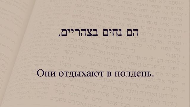 Глаголы в иврите. Глагол 147 "Отдыхать". Спряжение глаголов в предложениях. смотреть онлайн
