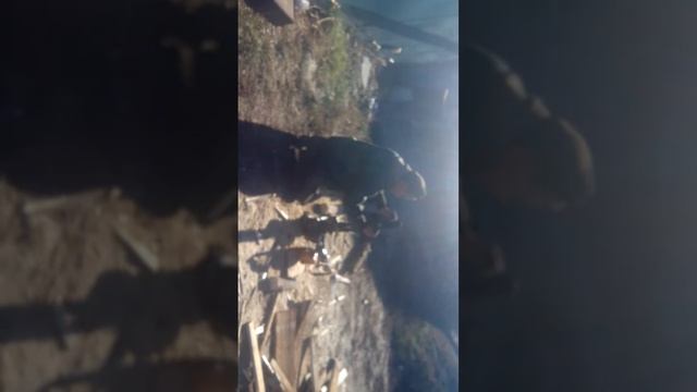 Как живут наши БОМЖИ смотреть онлайн