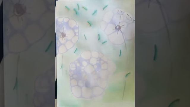 Ежик и одуванчики из мыльных пузырей смотреть онлайн