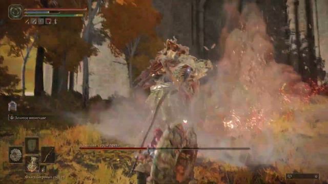 Elden Ring Драконий Страж Древа [тактика щита и кувырка]