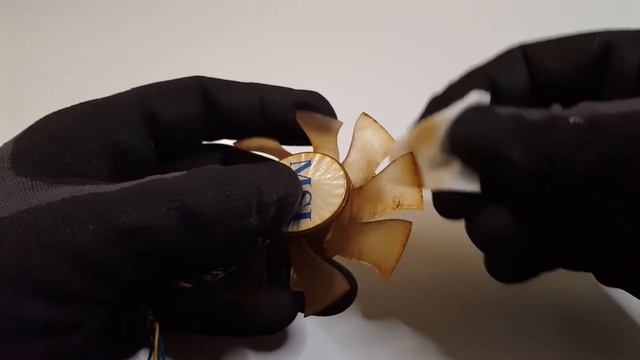 ASMR | MSI GTS 250 Cleaning & Disassembly смотреть онлайн
