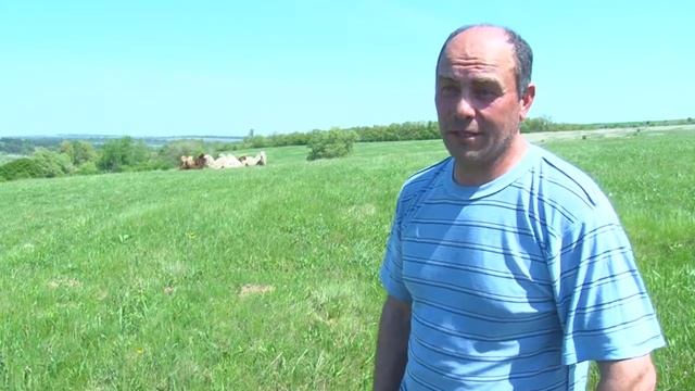 Конкурс. Придумайте кличку черному верблюжонку смотреть онлайн