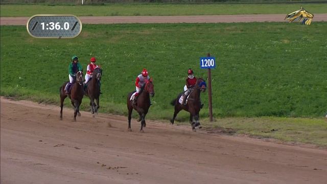 10-й Заезд. ПРИЗ СПОРТИВНЫЙ. Ипподром "Алтай" 24 сентября 2023 смотреть онлайн