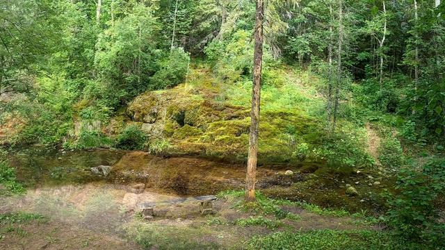 Раунский Стабурагс 2020 Raunas Staburags смотреть онлайн