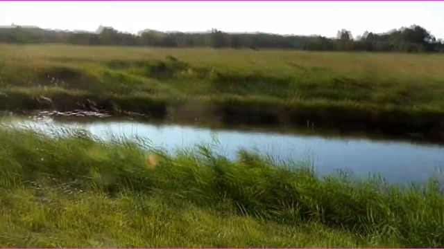 Как Лис охотится на утку на Сенокосе грести валковые грабли смотреть онлайн