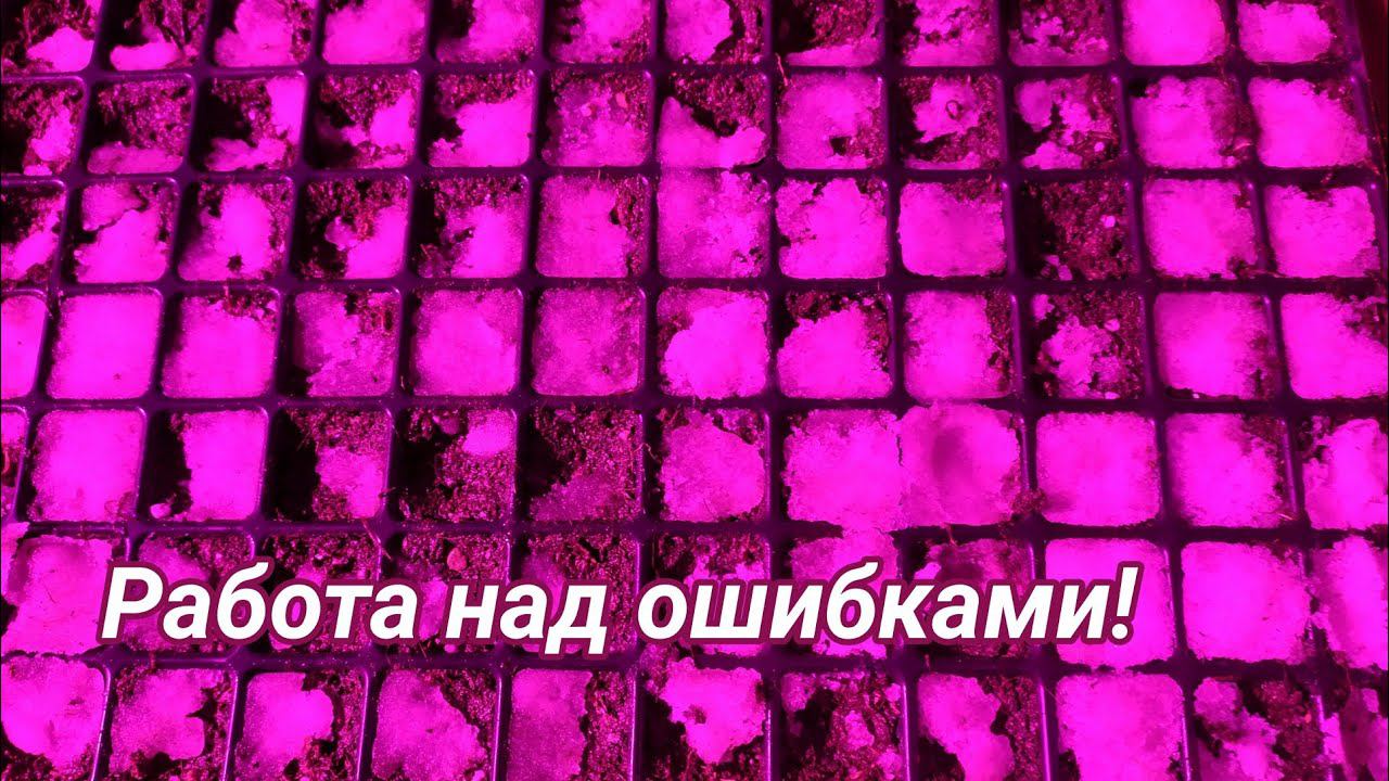 Работа над ошибками и фронт работ! смотреть онлайн