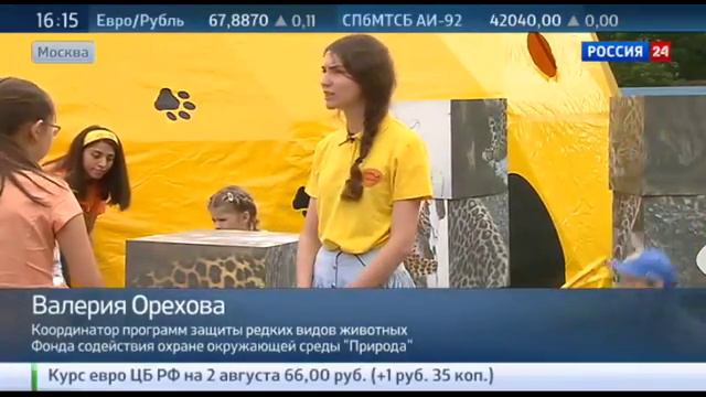 В Московском зоопарке открыли выставку о дальневосточном леопарде смотреть онлайн