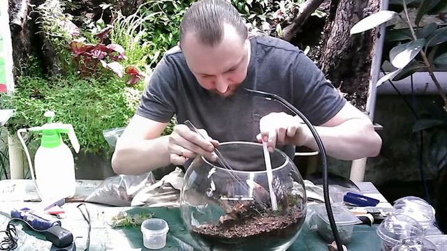 Удивительный мир флорариума. Часть 2 смотреть онлайн