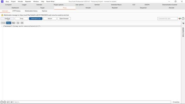 Manipulating the WebSocket handshake to exploit vulnerabilities | portswigger смотреть онлайн
