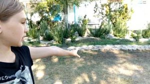 Крым Азовский комплекс