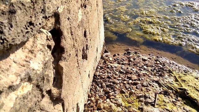 Водяной уж поел и ползёт отдыхать смотреть онлайн