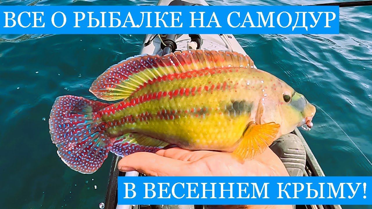 НЕОЖИДАННАЯ находка на диком ПЛЯЖЕ в Крыму! Рыбалка на самодур и джиг, уха из ярких весенних трофеев смотреть онлайн