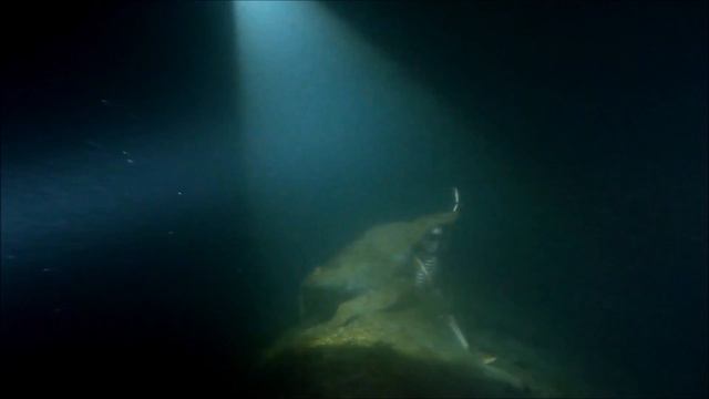 Тёмной ночью под водой. смотреть онлайн