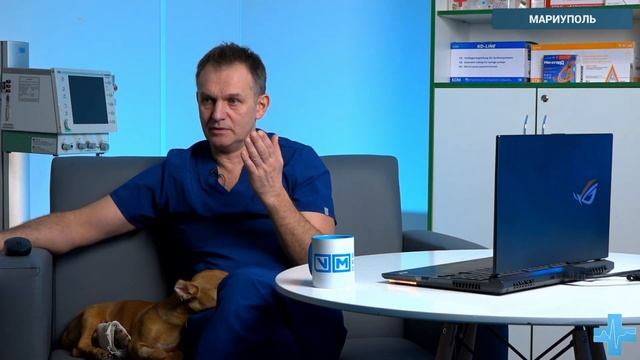 Поездка в Мариуполь смотреть онлайн