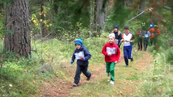 Спртивное ориентирование. Лето 2014