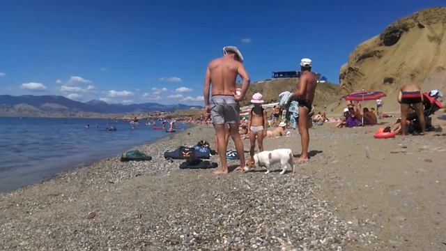 ВЛОГ Едем на море с Марсиком. Marsik впервые на море. Прикольная собака. смотреть онлайн