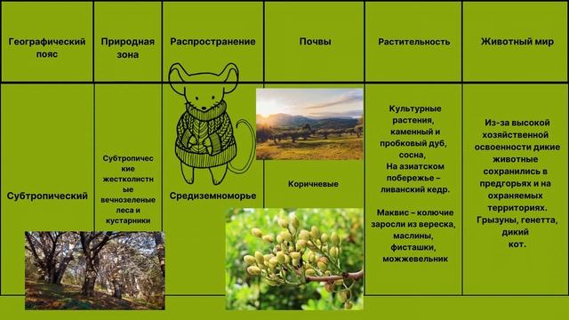 Природные зоны Евразии смотреть онлайн