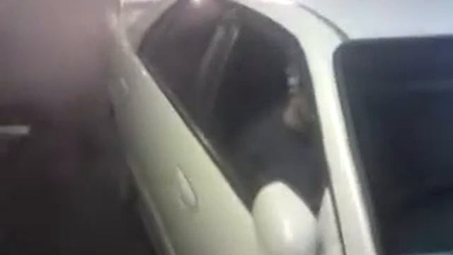 лютик в гараже смотреть онлайн