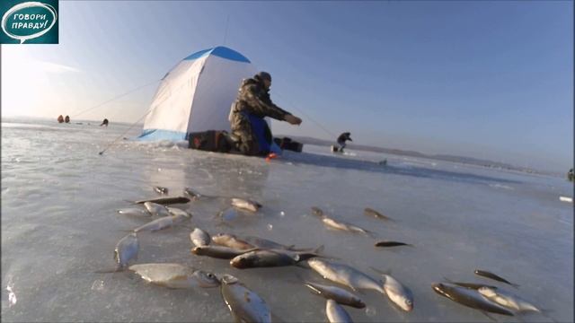 Лёха & зимний подлещик или ещё один зимний день смотреть онлайн