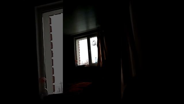 Тимоха/что нельзя взрослым и детям....4 февраля 2018 г. смотреть онлайн