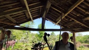 Грузия / Гурия / Озургети / село Земо Макванети / Такого не ожидал