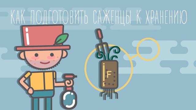Как сохранить саженцы до посадки? смотреть онлайн
