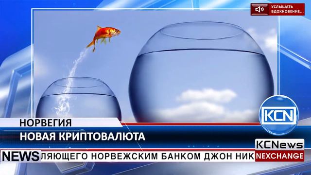 KCN Норвегия может создать собственную анонимную криптовалюту смотреть онлайн