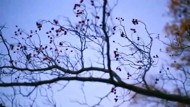 KAZKA-ПЛАКАЛА) НА РУССКОМ ЯЗЫКЕ COVER САША (КАПУСТИНА) смотреть онлайн