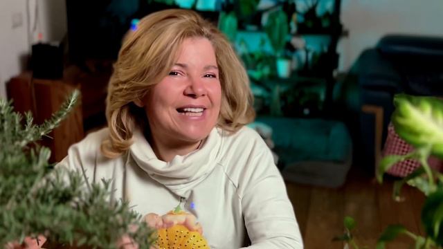 ROSMARINO Repens | la pianta TUTTOFARE смотреть онлайн