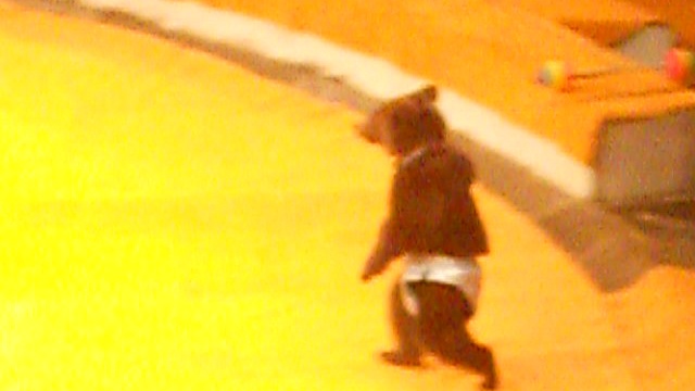 смотреть всем