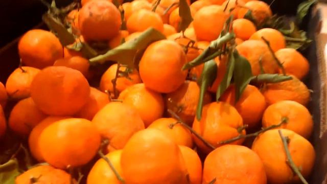 Grocery Shopping in USA • VLOG • Покупки в Америке смотреть онлайн