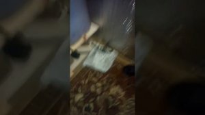 Китурами Турбо 13 отзыв!!!