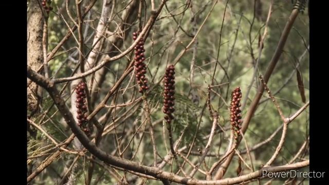 April 10, 2020 смотреть онлайн