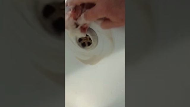 Теперь отмыть ванную комнату стало намного быстрее. смотреть онлайн