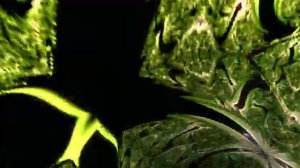 Король и Шут - Насрать на мое лицо