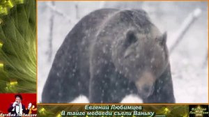 Евгений Любимцев - В тайге медведи съели Ваньку.mp4