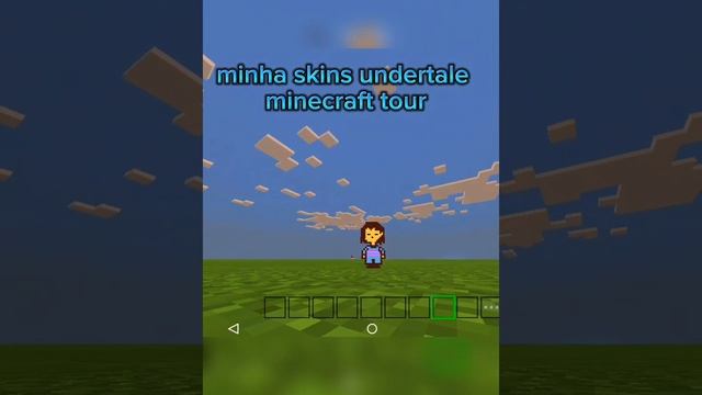 tour pela minhas skins undertale #shorts #minecraft #skinminecraft #skinsforrminecraft #undertale смотреть онлайн