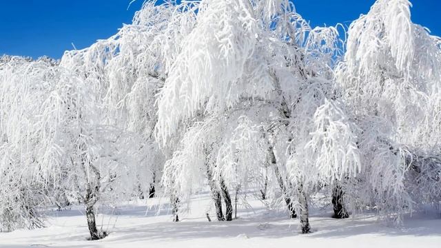 Татьяна Недельская Просто смотри смотреть онлайн