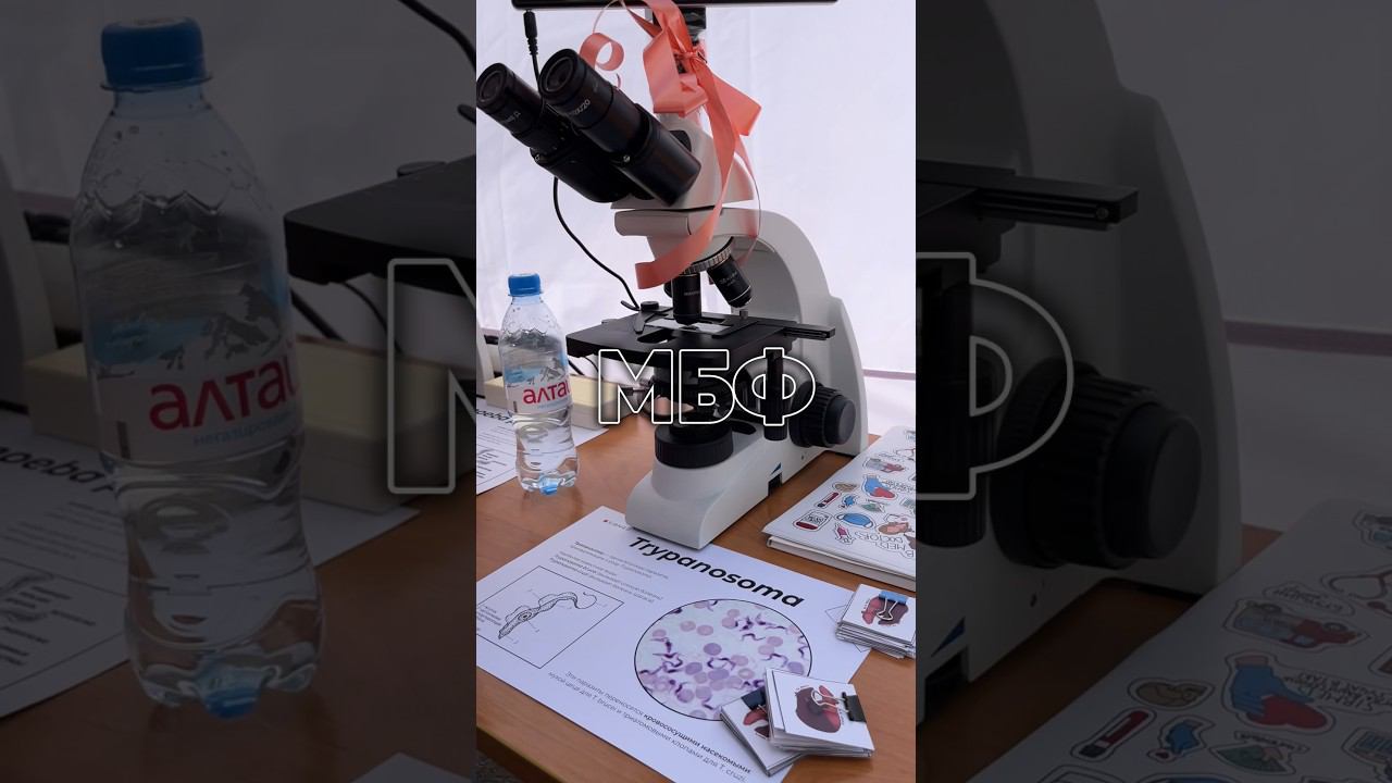 Факультеты СибГМУ#sibmed #сибгму #университет Ященко Татьяна смотреть онлайн