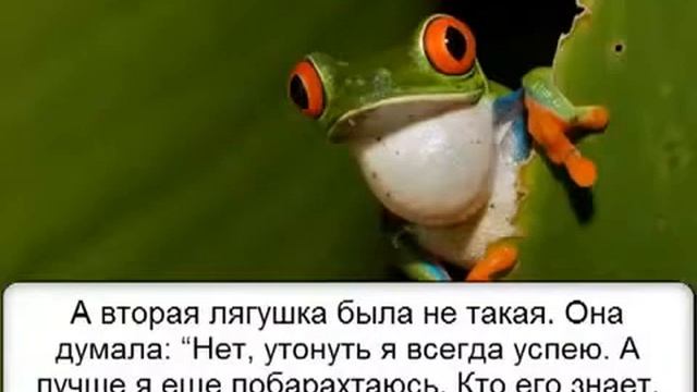 Притча Две лягушки смотреть онлайн