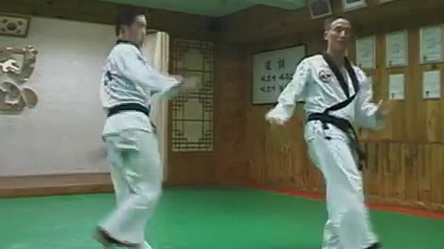 Техника и сущность Хапкидо смотреть онлайн