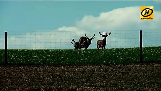 Контуры. Очевидное невероятно смотреть онлайн