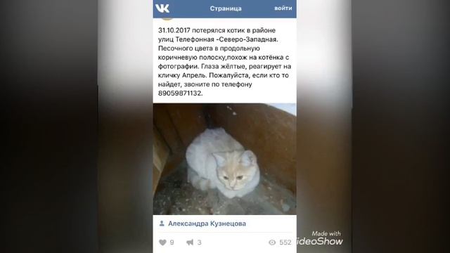 Объявления о потере и находке Животных смотреть онлайн