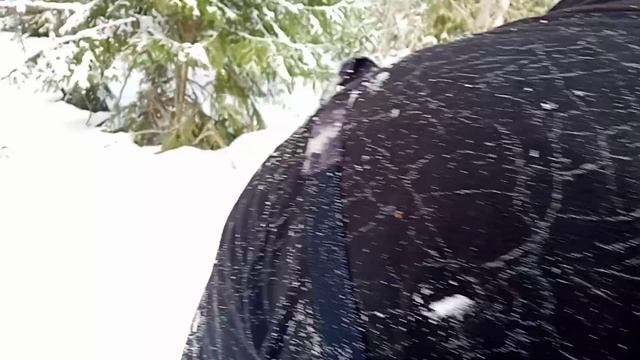 Завалился набок смотреть онлайн