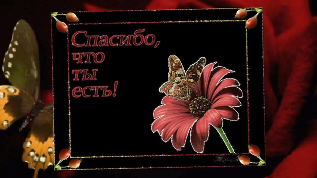 С ДНЕМ РОЖДЕНИЯ, ПОДРУЖКА!(ноябрь 2014) смотреть онлайн