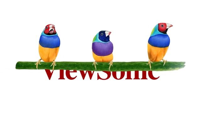 ViewSonic Socially Distanced Birds Animation Masks w/ Audio смотреть онлайн