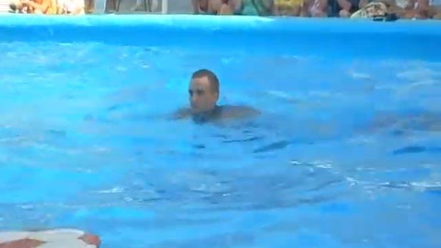 Дельфинарий в Феодосии смотреть онлайн