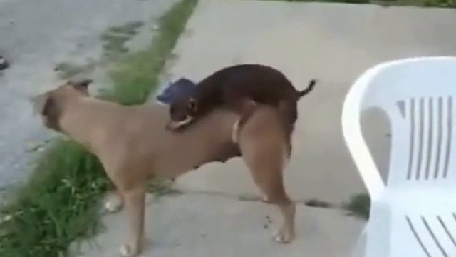 подари мне любовь смотреть онлайн